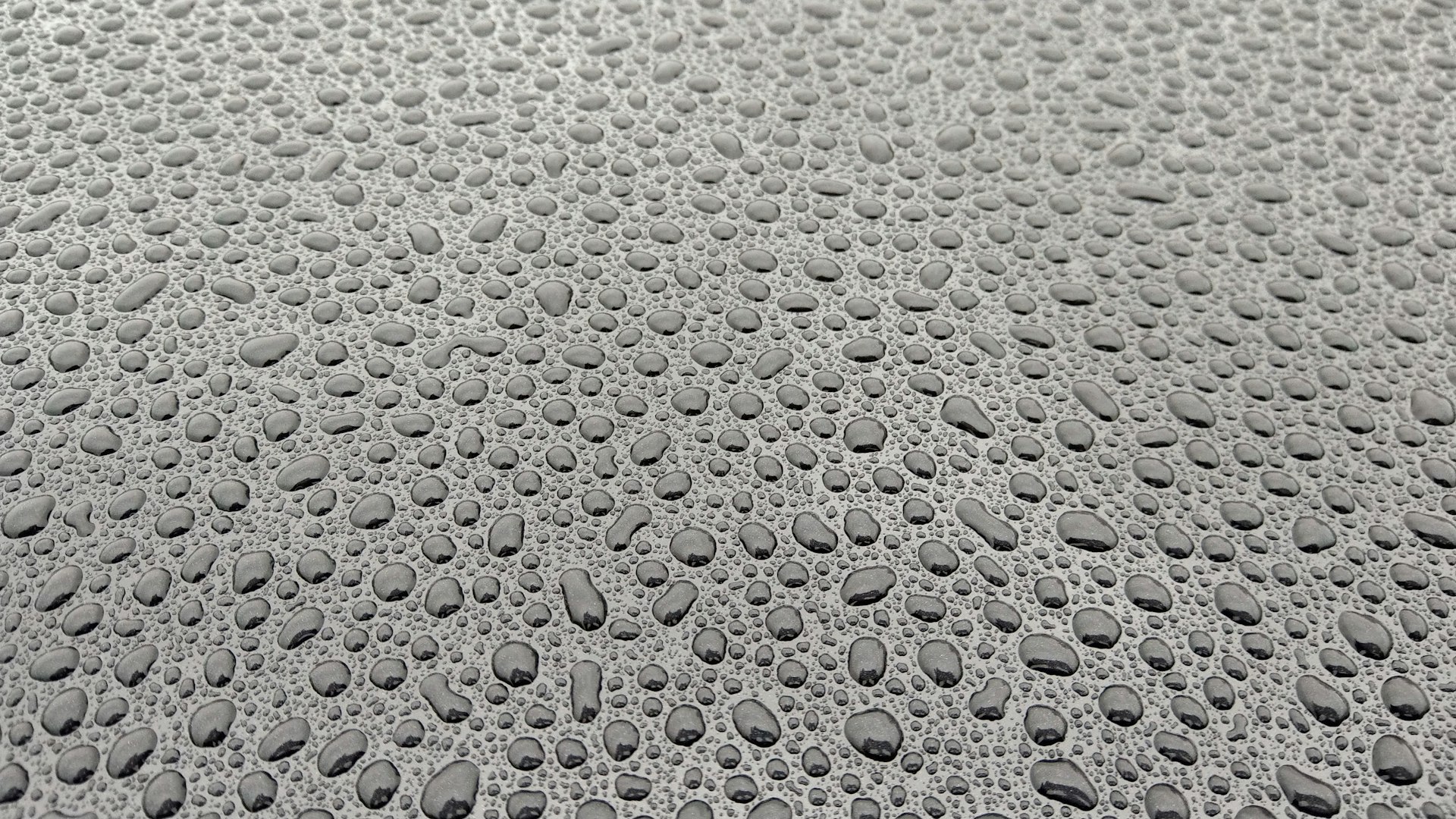 Kvapky vody na lesklom povrchu laku auta demonštrujúce hydrofóbny efekt nano-ochrany od Nanowash.